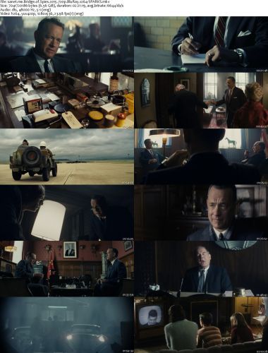 Bridge of Spies 2015 720p BluRay x264-SPARKS