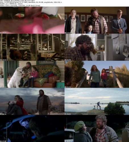 Oddball 2015 HDRip x264 AC3-iFT