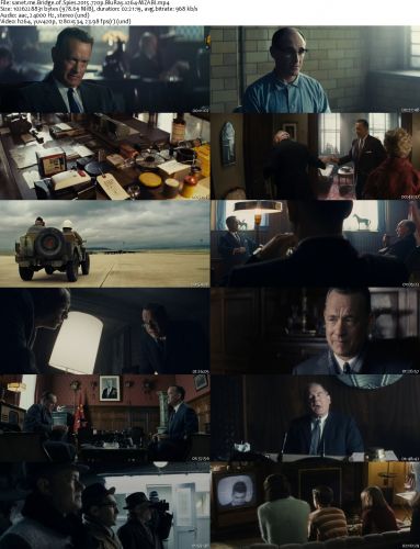Bridge of Spies 2015 720p BluRay x264-MZABI