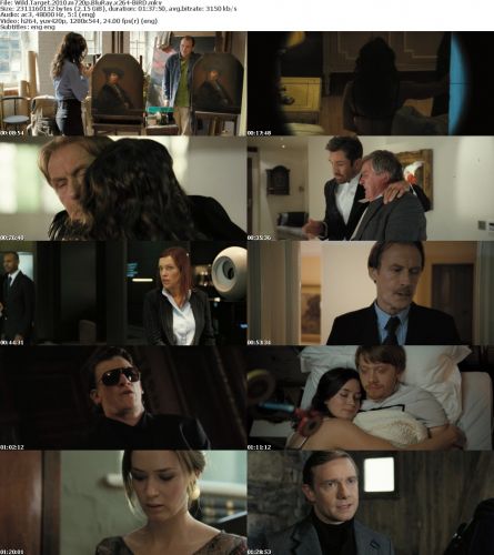 Wild Target 2010 m720p BluRay x264-BiRD