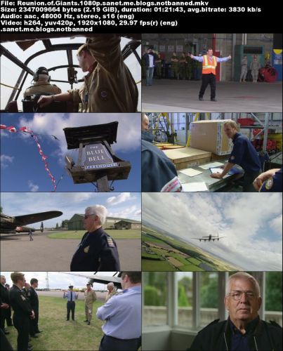 Suddenly Seemore - Reunion of Giants (2015) BDRip 1080p x264-MVGroup
