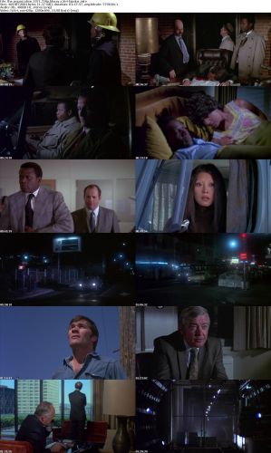 The Organization 1971 720p BluRay x264-BiPOLAR