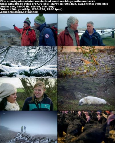 ITV - Countrywise: Winter Wonderland (2015) 720p HDTV x264-C4TV
