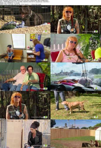 Pit Bulls and Parolees S07E13 A Long Time Coming AAC MP4-Mobile