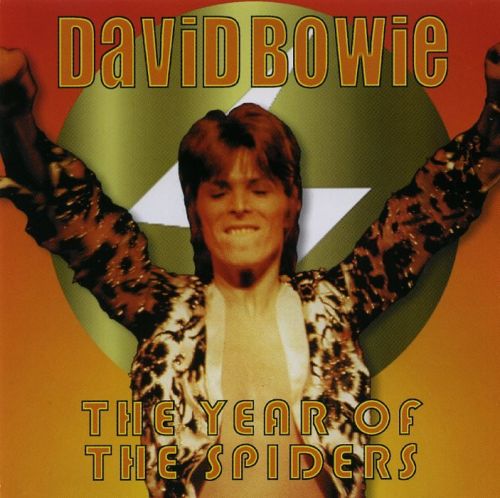 David Bowie - The Year Of The Spiders (1999) Lossless