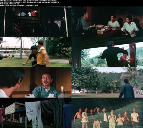 The Big Boss 1971 BDRip x264 AC3 Rosubbed-playSD