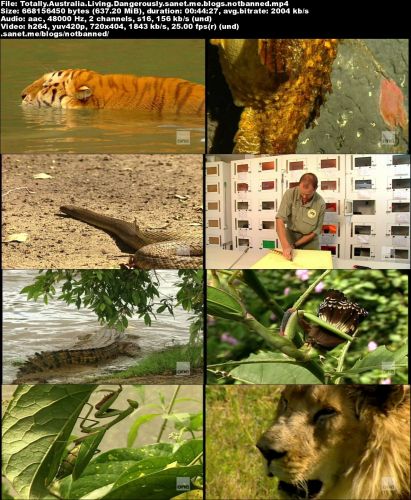 Totally Australia: Living Dangerously (2015) PDTV x264-CBFM