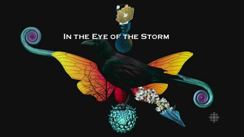 CBC - The Nature Of Things In The Eye Of The Storm (2016) 720p HDTV x264-aAF