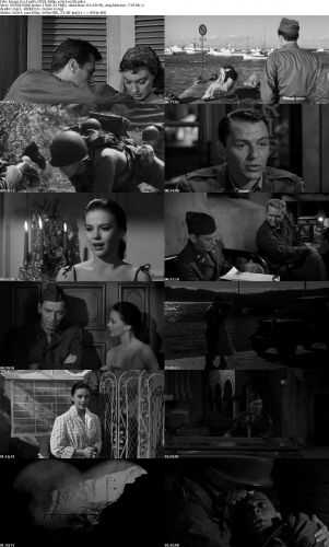 Kings Go Forth 1958 480p x264-mSD