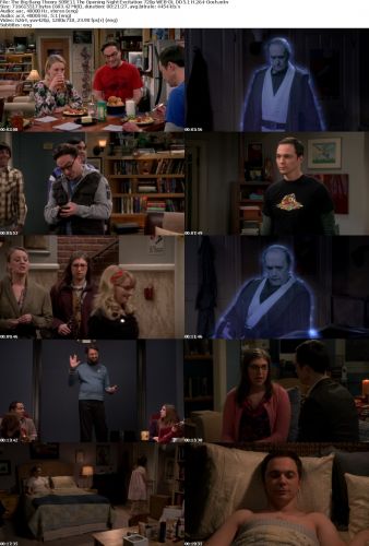The Big Bang Theory S09E11 The Opening Night Excitation 720p WEB-DL DD5 1 H 264-Oosh