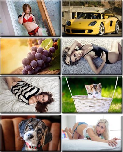 LIFEstyle News MiXture Images. Wallpapers Part (902)