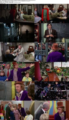 Willy Wonka the Chocolate Factory 1971 H264 1080p BluRay AC3 PapaFatHead