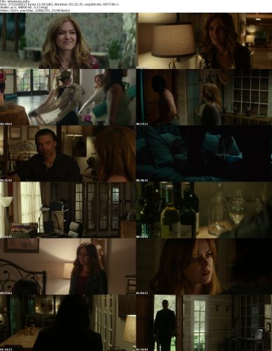 Visions 2015 720p BluRay x264-WARHD