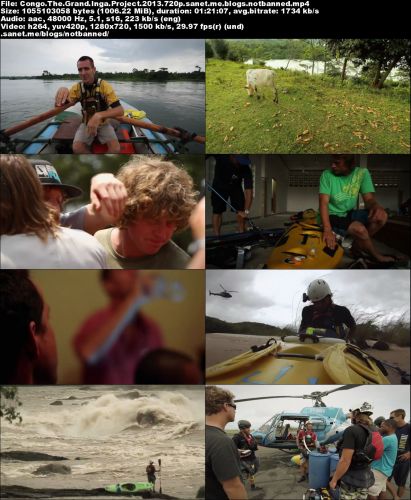 Congo: The Grand Inga Project (2013)