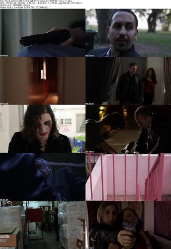 The Last Hit 2013 720p WEBRIP x264 AC3 SiMPLE-NoHaTE