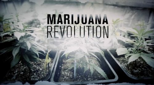 History Channel - The Marijuana Revolution (2016) 720p HDTV x264-DHD