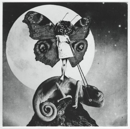 The Exaltics - The Girl And The Chameleon (2016)