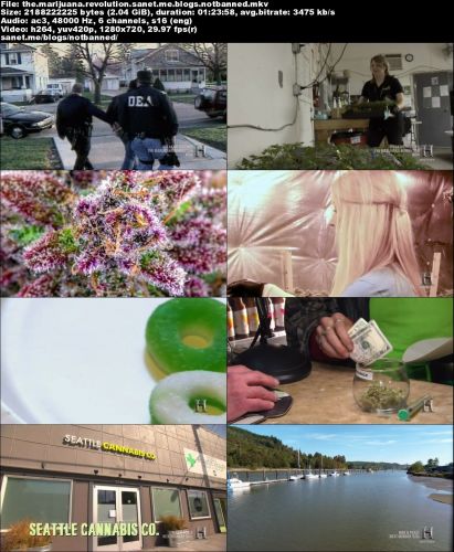 History Channel - The Marijuana Revolution (2016) 720p HDTV x264-DHD