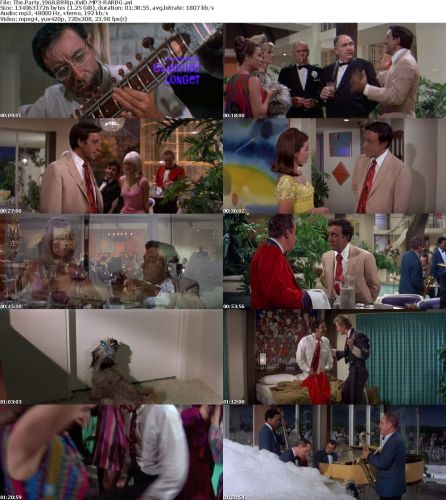 The Party 1968 BRRip XviD MP3-RARBG