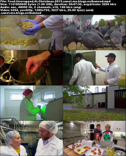 Channel 4 - Food Unwrapped: At Christmas (2015) 720p HDTV x264-MVGroup