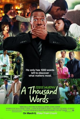 A Thousand Words 2012 BDRip x264 AC3 RoSubbed-playSD