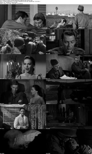 Kings Go Forth 1958 REMASTERED BDRip x264-VoMiT