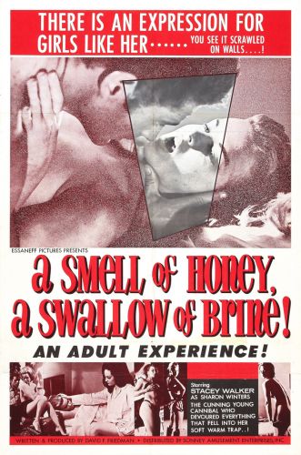 A Smell Of Honey A Swallow Of Brine 1966 DVDRip x264-FiCO