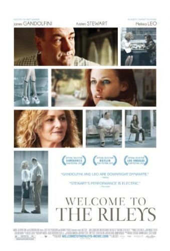 Welcome to the Rileys 2010 BDRip x264 AC3 RoSubbed-playSD