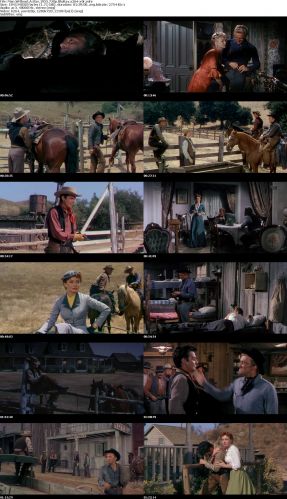 Man Without A Star 1955 720p BluRay x264 x0r