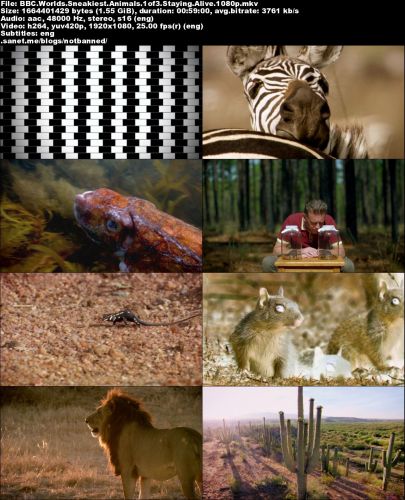 BBC - World's Sneakiest Animals (2016) 1080p HDTV x264-MVGroup