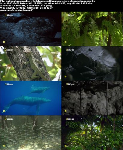 National Geographic - Wild Islands: Caribbean (2015) 720p HDTV x264-ASCENDANCE
