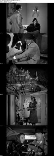 Remember the Night 1940 720p BluRay x264 x0r
