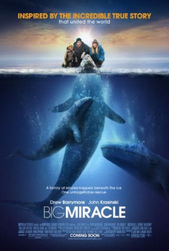 Big Miracle 2012 BDRip x264 AC3 RoSubbed-playSD