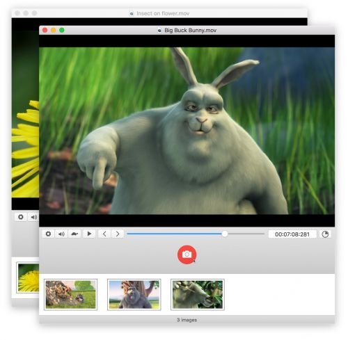 SnapMotion 3.0.1 MacOSX