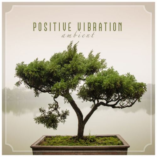 VA - Positive Vibration Ambient (2015)