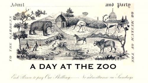 BBC Time Shift - A Day at the Zoo (2013) 720p HDTV x264-MVGroup