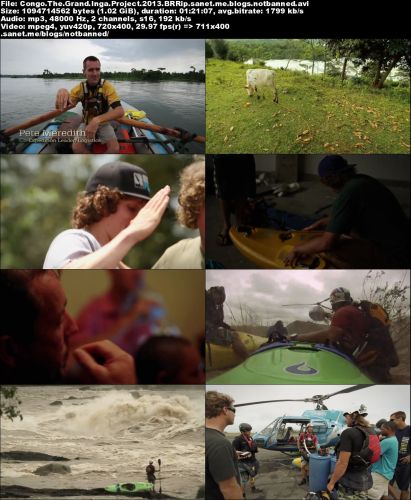 Congo: The Grand Inga Project (2013)