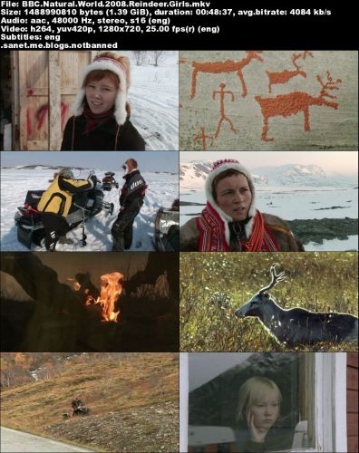 BBC - Natural World: Reindeer Girls (2008) 720p HDTV x264-MVGroup