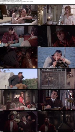 Sam Whiskey 1969 720p BluRay x264 x0r