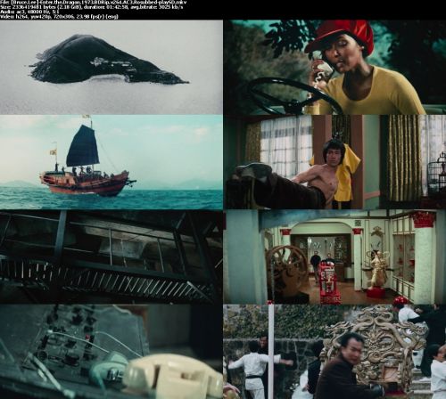 Enter the Dragon 1973 BDRip x264 AC3 Rosubbed -playSD