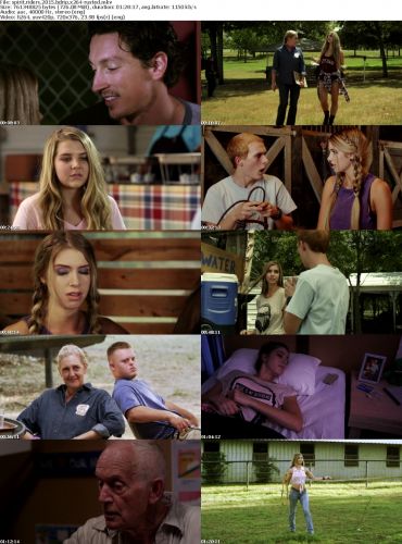 Spirit Riders 2015 BDRip x264-RUSTED