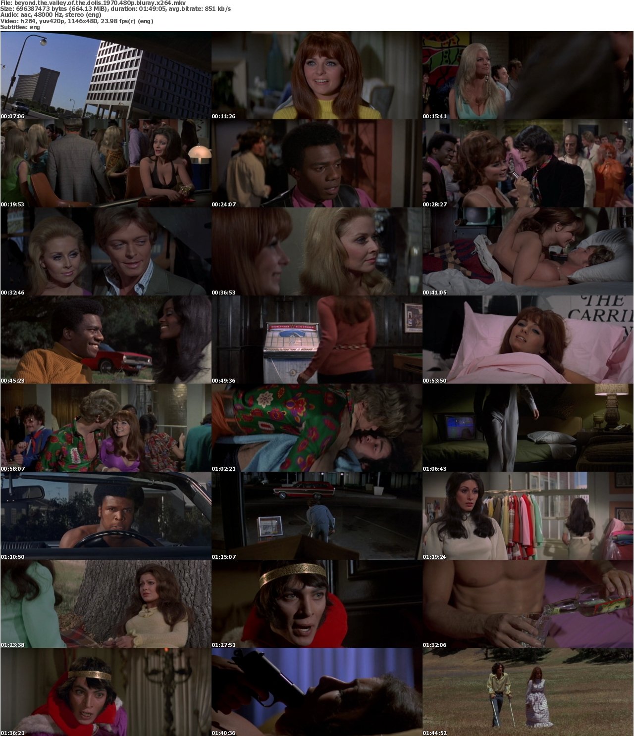 Beyond the Valley of the Dolls 1970 480p BluRay x264