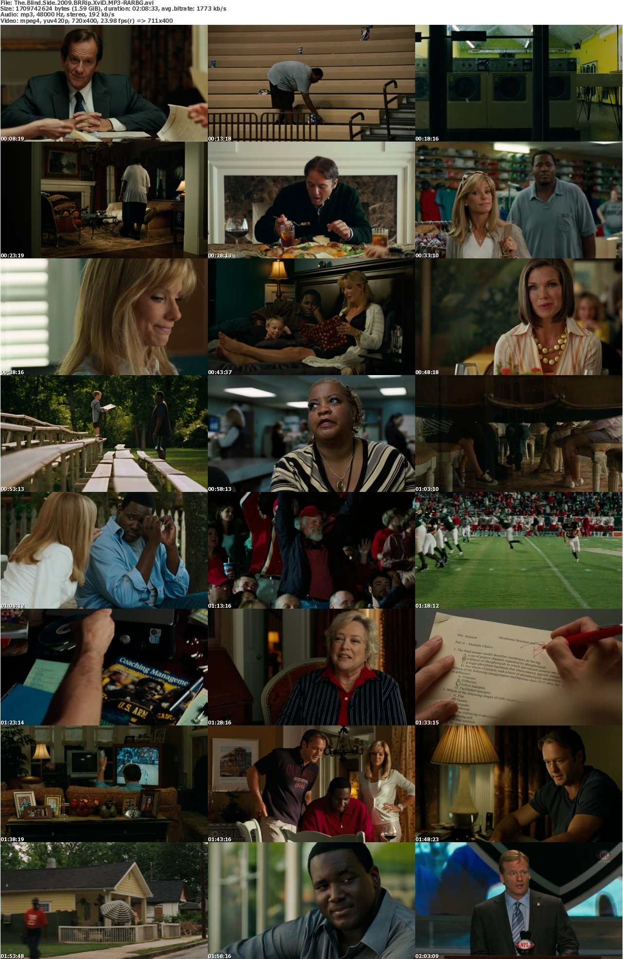 The Blind Side 2009 BRRip XviD MP3-RARBG