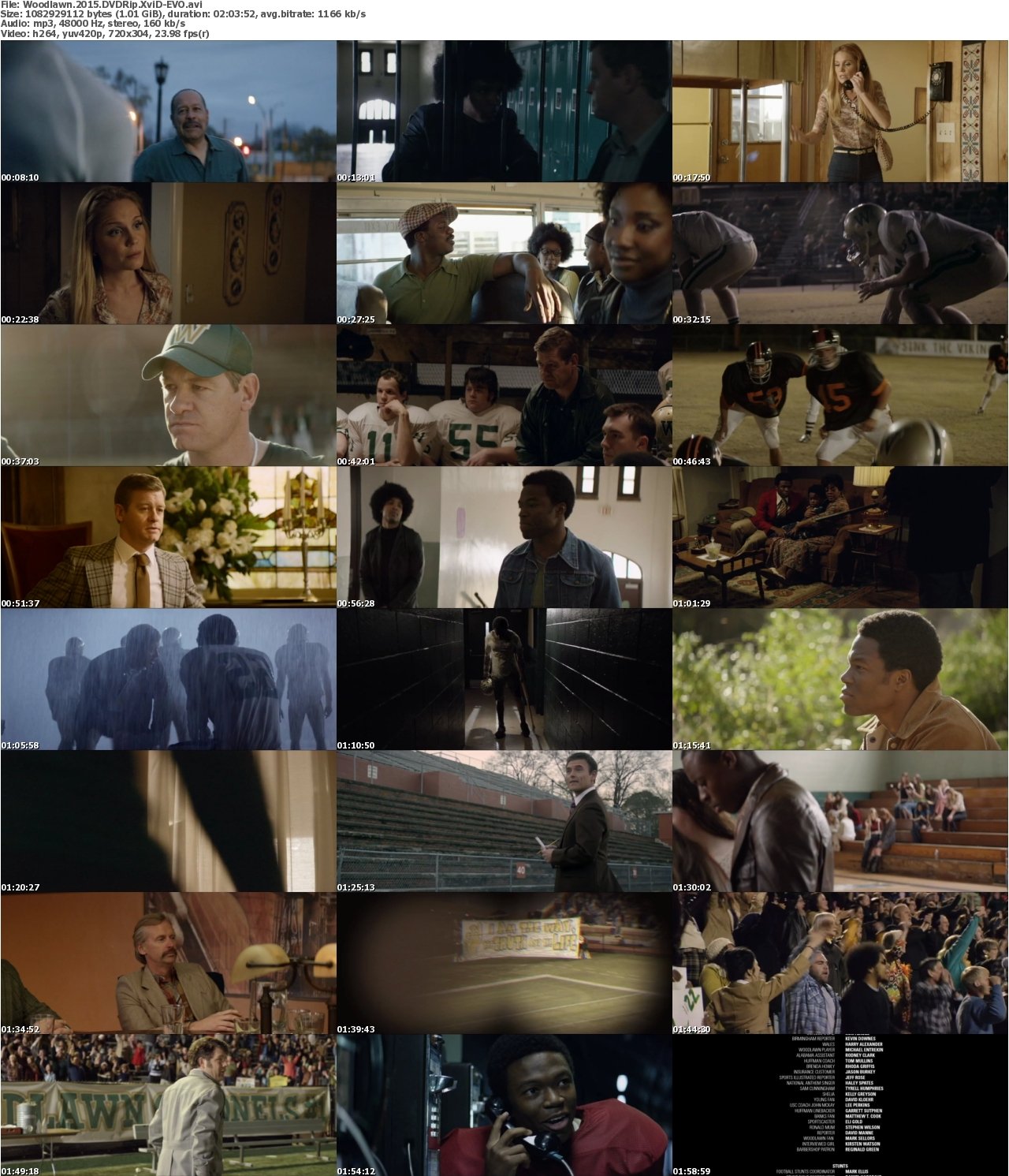 Woodlawn 2015 DVDRip XviD-EVO