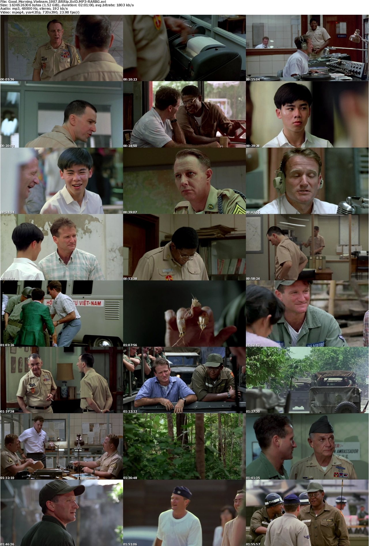 Good Morning Vietnam 1987 BRRip XviD MP3-RARBG