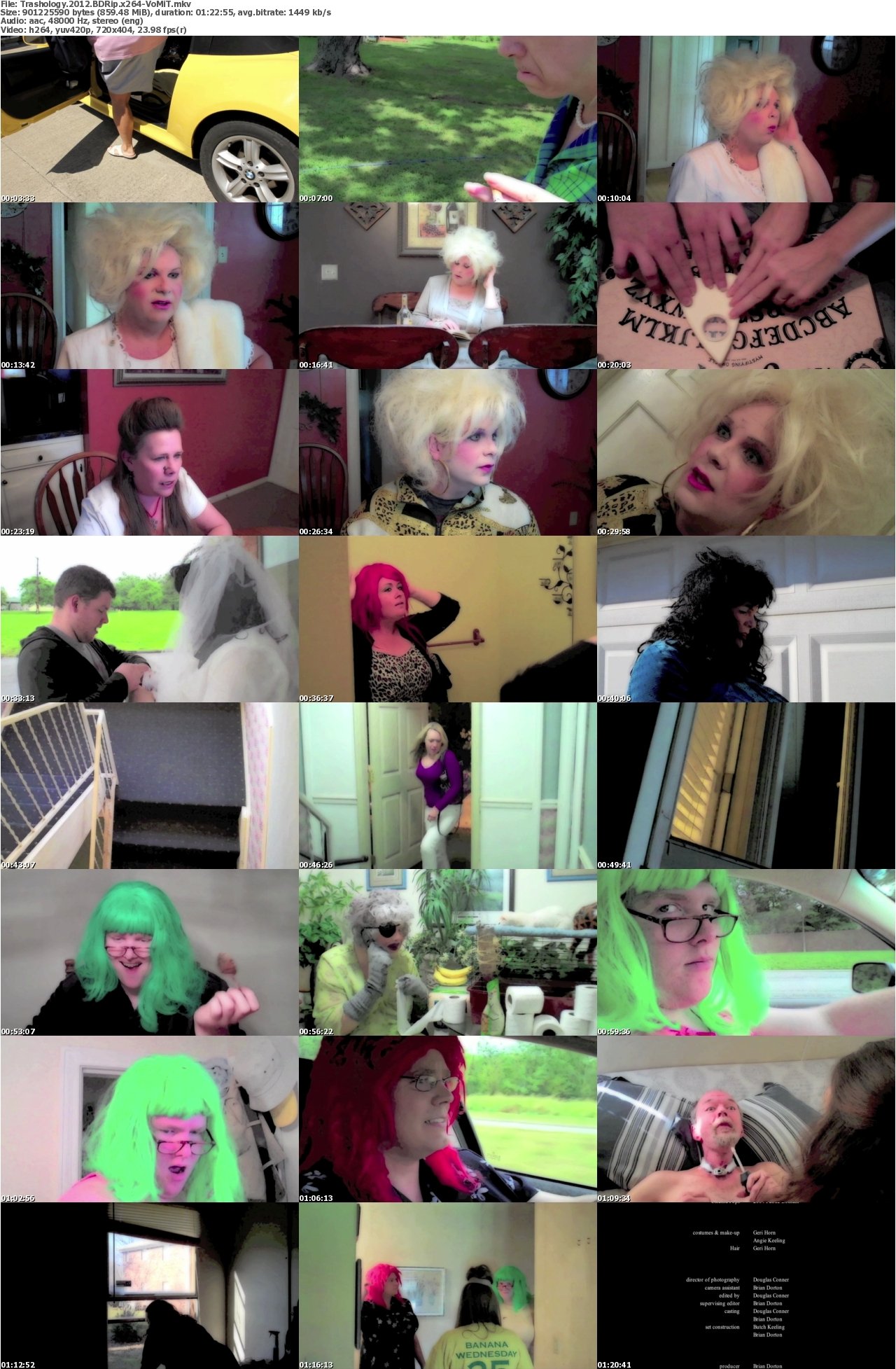 Trashology 2012 BDRip x264-VoMiT
