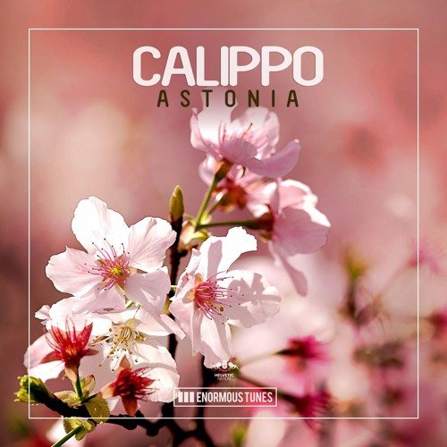 Calippo - Astonia (2016)