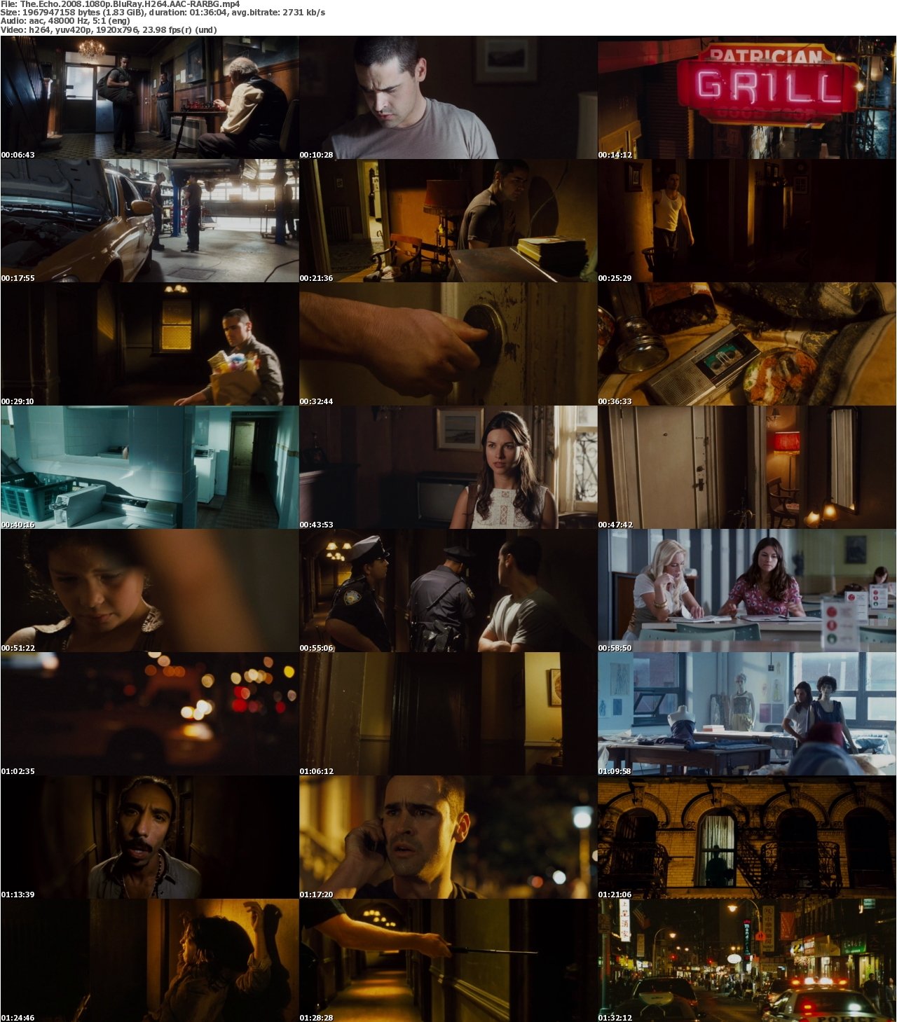 The Echo 2008 1080p BluRay H264 AAC-RARBG