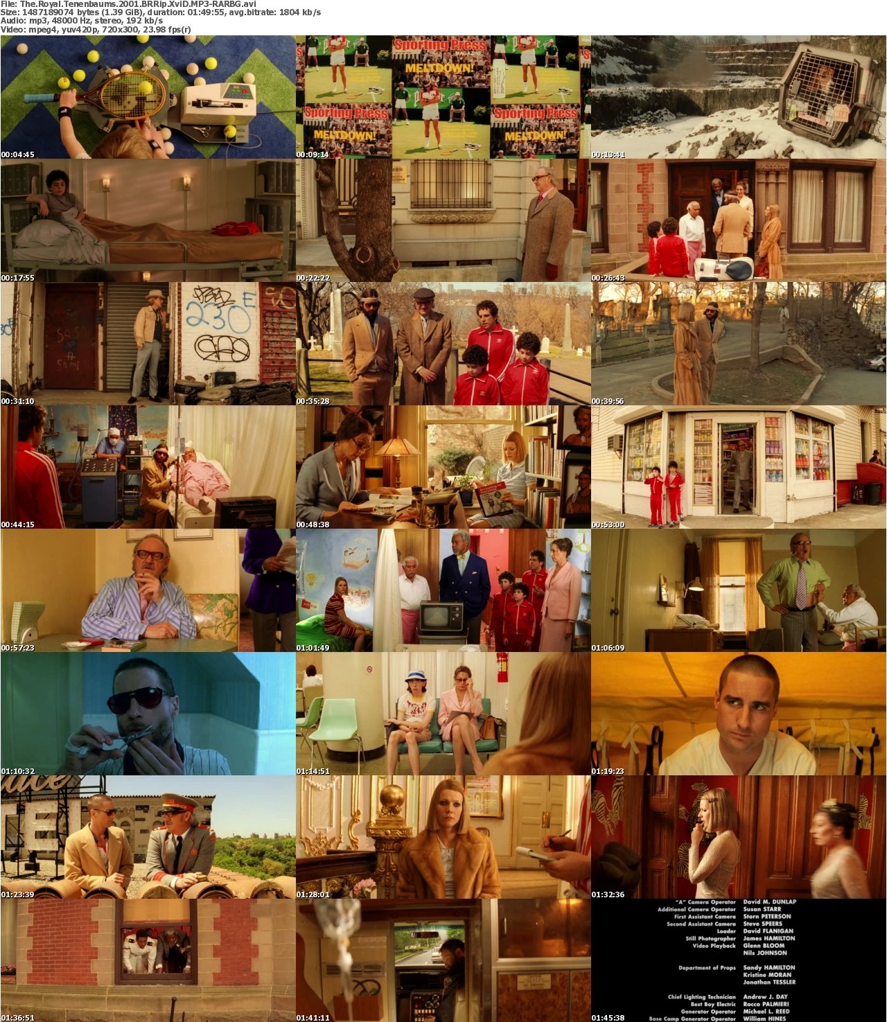 The Royal Tenenbaums 2001 BRRip XviD MP3-RARBG