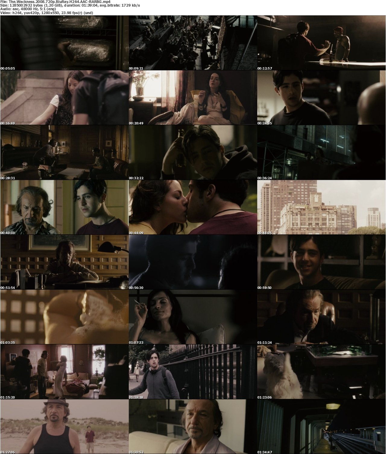 The Wackness 2008 720p BluRay H264 AAC-RARBG